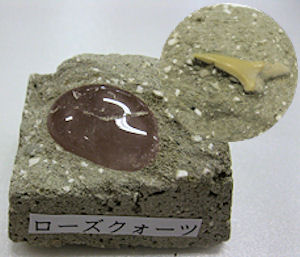 ミニ発掘の模式図