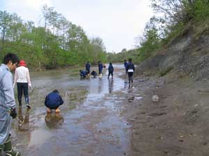 やや増水時の河床
