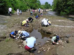 通常の河床状態